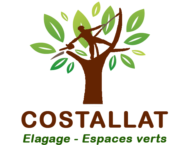 Costallat Elagage Espaces Verts, artisans élagueurs à Rosny-sous-Bois en Seine-Saint-Denis (93)